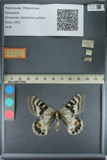 Media type: image;   Entomology 180479